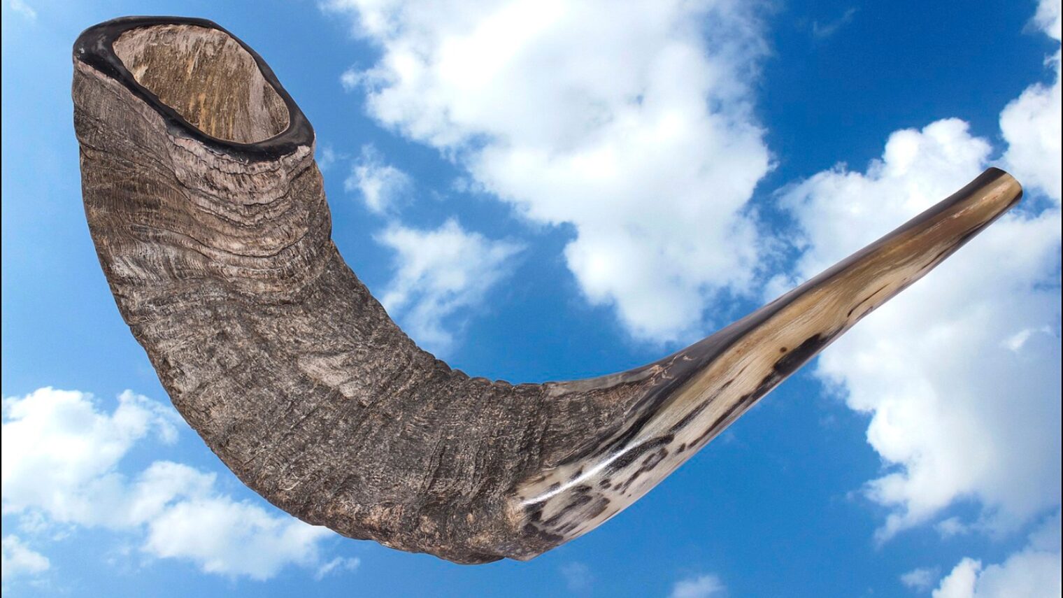 The ramâ€™s horn shofar is a main symbol of Rosh Hashana. Photo by Zachi Evenor via Wikimedia Commons