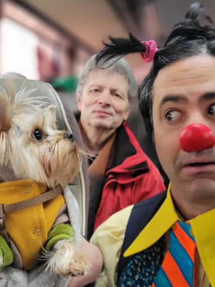 Ariel Keren, aka Slinky the Clown, accompanying Ukrainian refugees (and their pets) on a bus in Moldova. Photo courtesy of Dream Doctors
