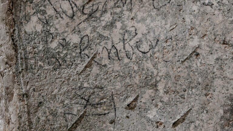 The inscription and family emblem of Adrian von Bubenberg in the Holy Complex on Mount Zion. Photograph: Shai Halevi, Israel Antiquities Authority