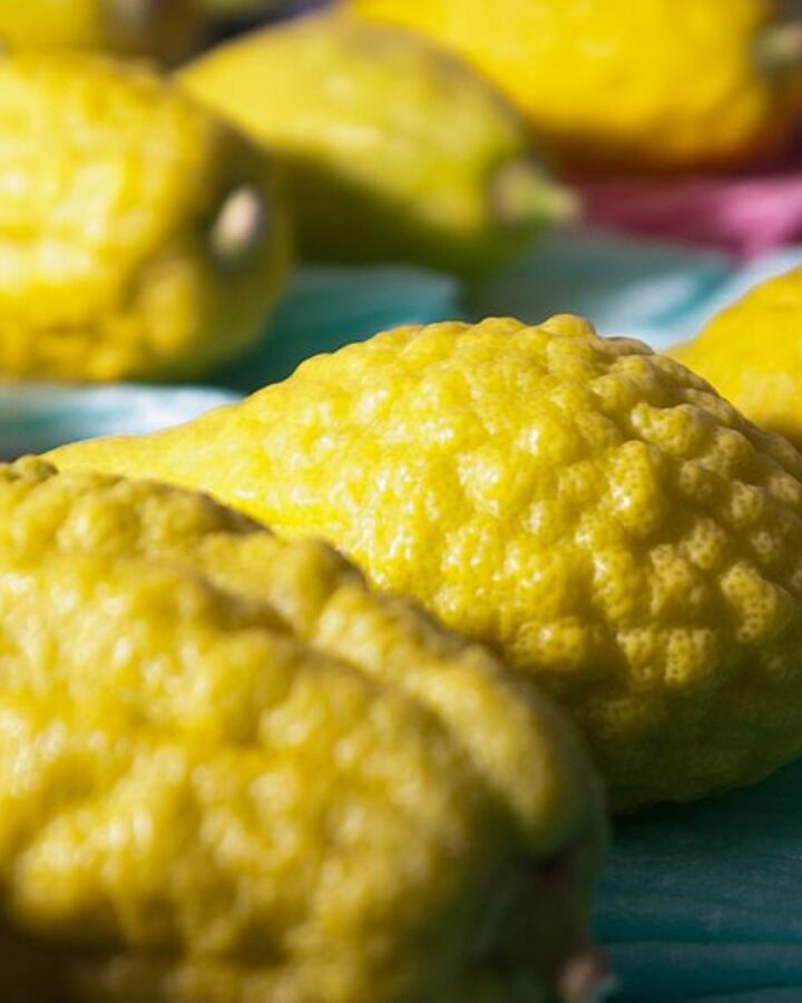 Photo of citrons by Flavio via Wikimedia Commons