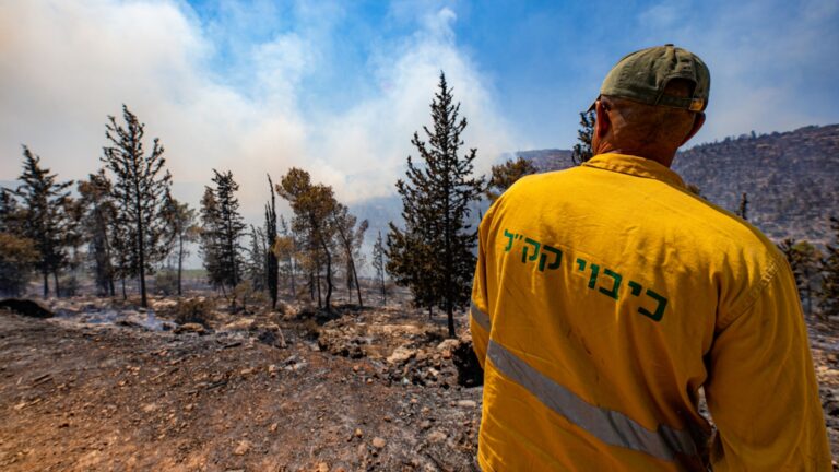 Innovation helps Israel reduce wildfires