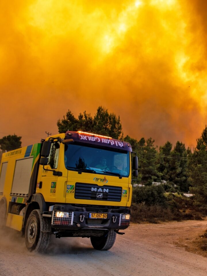 Fire in the Jerusalem Hills. Photo by Amos Luzon
