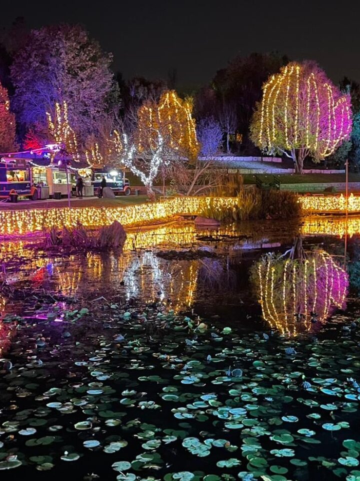 Winter Lights Festival at the Jerusalem Botanical Gardens. Photo by Tom Amit