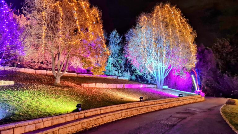 See the magical Winter Lights Festival in Jerusalem