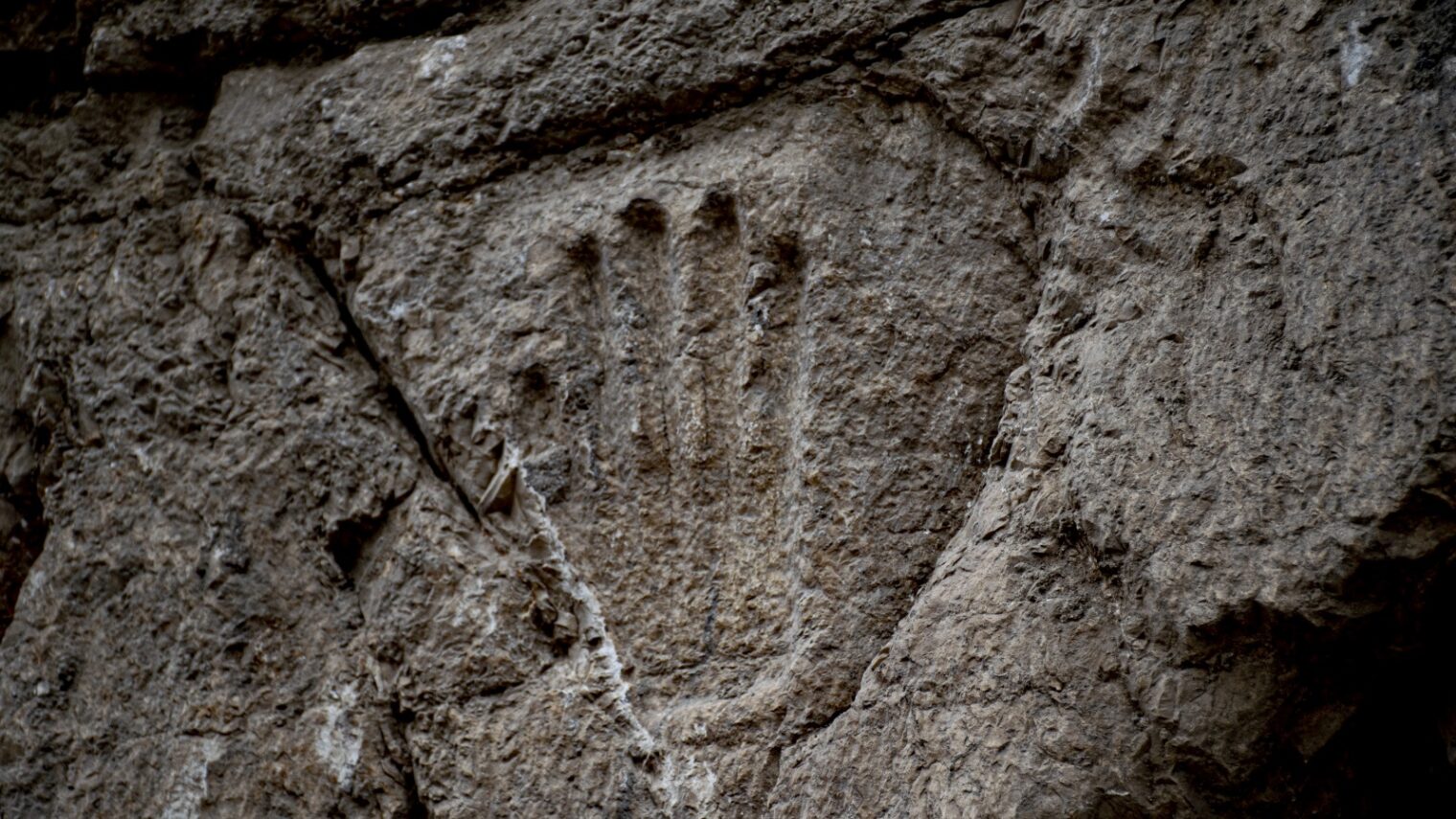 The carved hand on the moat wall. Photo by Yoli Schwartz/Israel Antiquities Authority