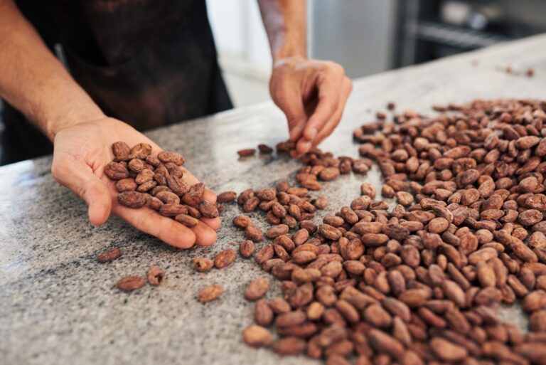 Could Israel become a surprise cocoa superpower?