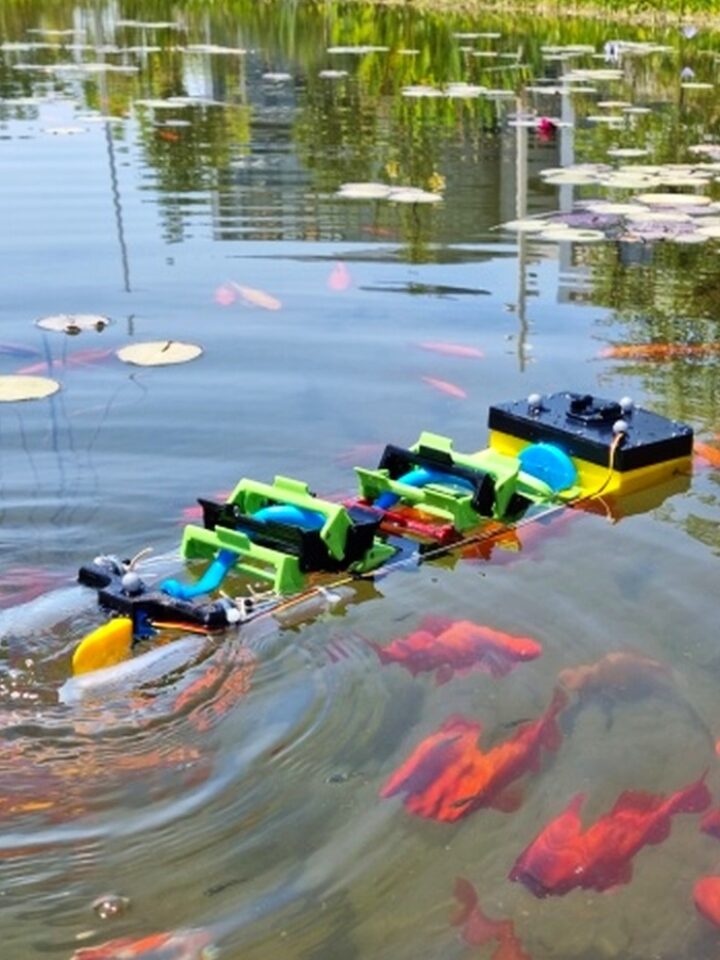 Fish aren’t repelled by this amphibious robot, and we sure can understand why. Photo by Dr. David Zarrouk/BGU