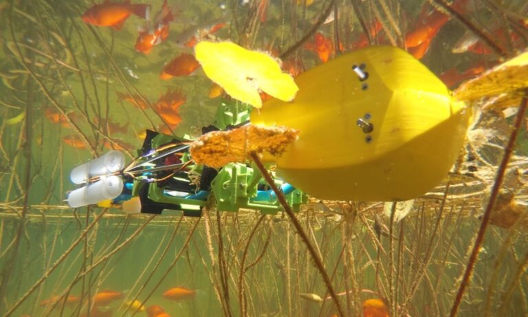 Is it a fish? Is it a centipede? Itâ€™s an amphibious robot!