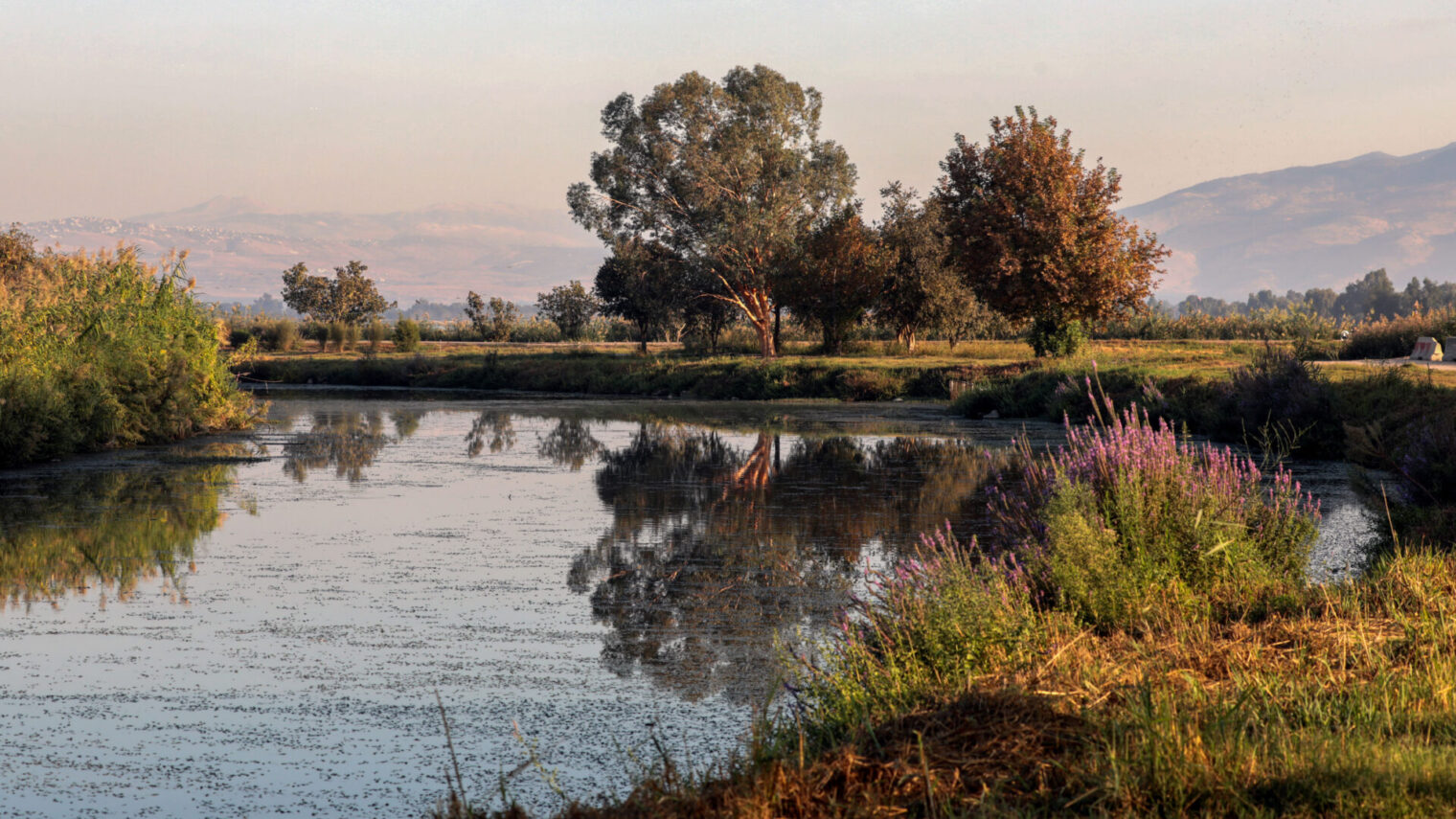 A view of the Hula lake in northern Israel. Photo by Yossi Zamir/Flash90