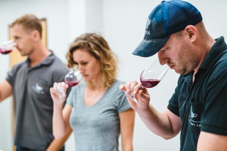 12 terrific wine-tasting tours in Israel