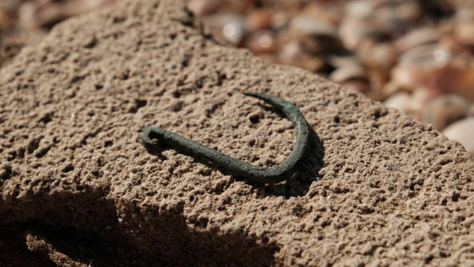 The 6,000-year-old copper fishing hook. Photo by Emil Aladjem/Israel Antiquities Authority