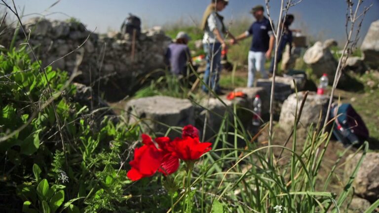 Ancient flower mosaic unearthed  on the Israel Trail