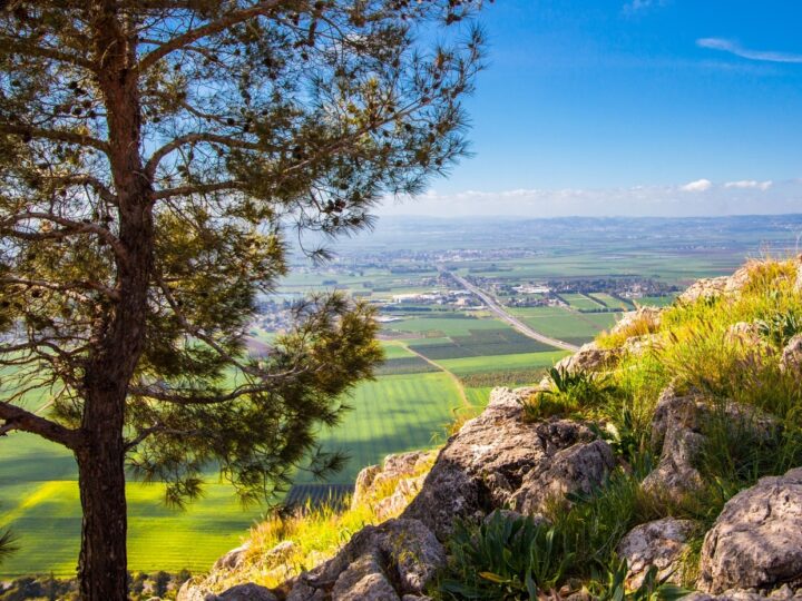 A view of Jezreel Valley from Kedumim Forest. Photo by Dmitry Rozental via Shutterstock.com