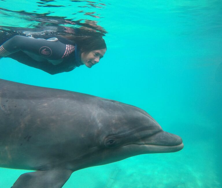 Sophie Donio at the Dolphin Reef, Eilat. Photo by Hadas Tsion