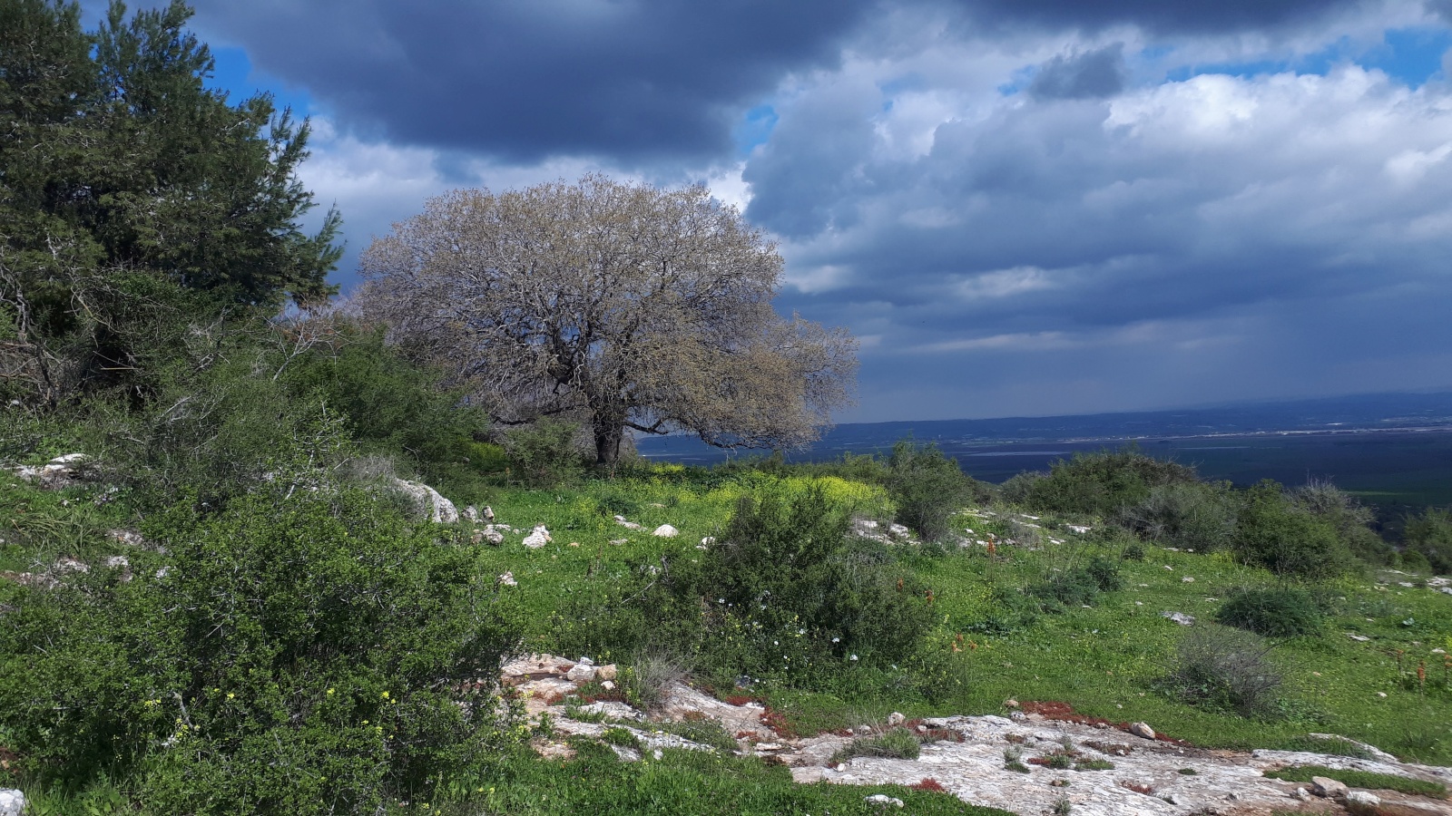 The view along the Ramot Menashe Biosphere Reserve trail. Photo by Itzik Ben Dov/Society for the Protection of Nature in Israel