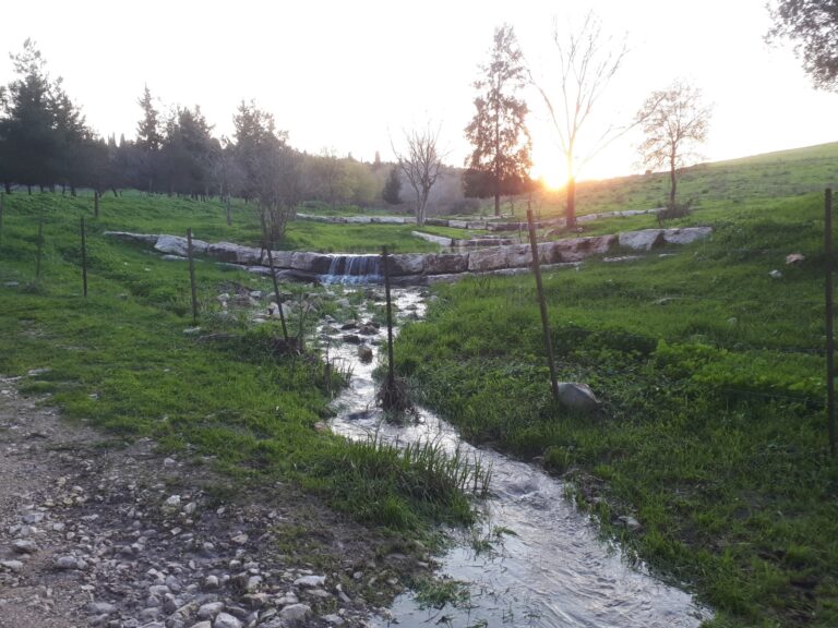 A stream along the Ramot Menashe Biosphere Reserve trail. Photo by Itzik Ben Dov/Society for the Protection of Nature in Israel