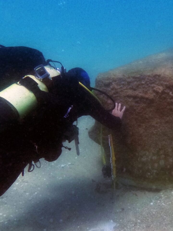 Diver examining a column from a 44-ton cargo of ancient artifacts found in the Eastern Mediterranean. Photo by the Theft Prevention Unit in the Israel Antiquities Authority
