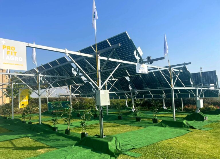 What do you get when you put solar panels on top of crops?