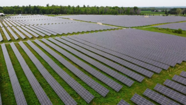 Agrivoltaics proposes growing crops and generating solar energy on the same plot of land. Photo: screenshot via Pexels.com