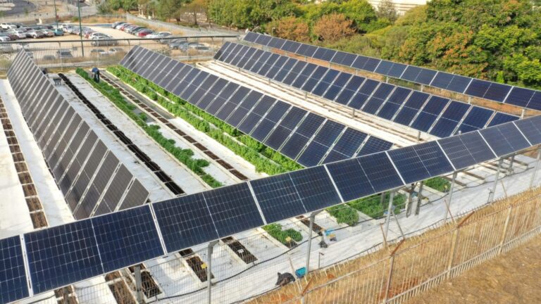 What do you get when you put solar panels on top of crops?