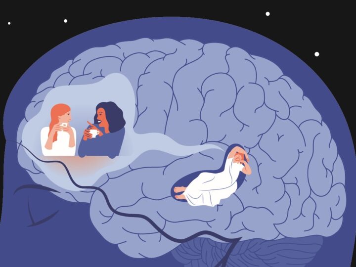 Illustration of the passage of memories from the hippocampus to the cerebral cortex during the night. Photo courtesy of Tel Aviv University