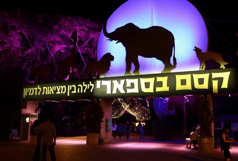 10 ways to enjoy the Israeli outdoors, even in a heatwave