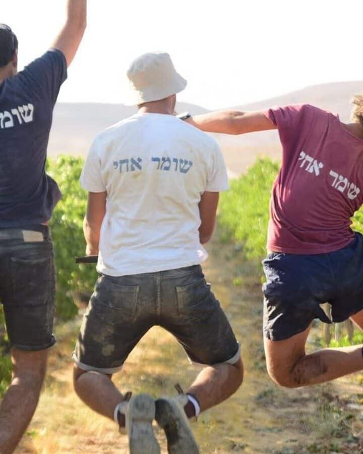 These agricultural volunteers are clearly enjoying their tasks. Photo courtesy of HaShomer HaChadash