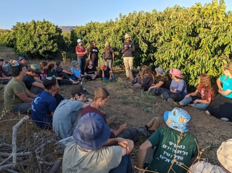 Teen farm volunteers are bonding with the land of Israel