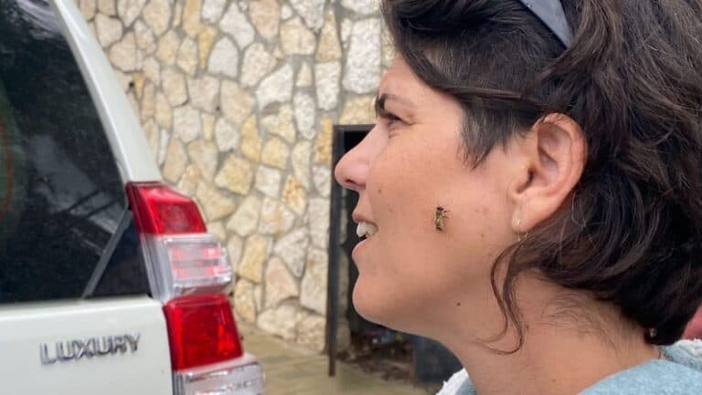What to do in Israel when bees swarm your car