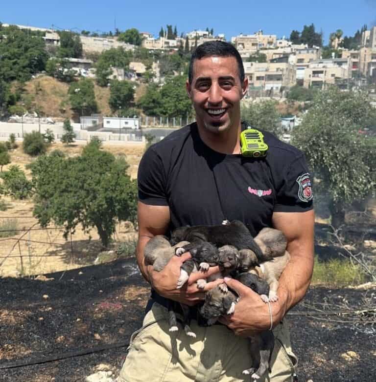 Jerusalem firefighters rescue puppies from blaze