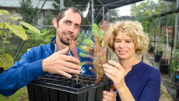 Dr. Tamir Klein and Dr. Yaara Oppenheimer-Shaanan, who headed the tree and bacteria research. Photo courtesy of Weizmann Institute of Science