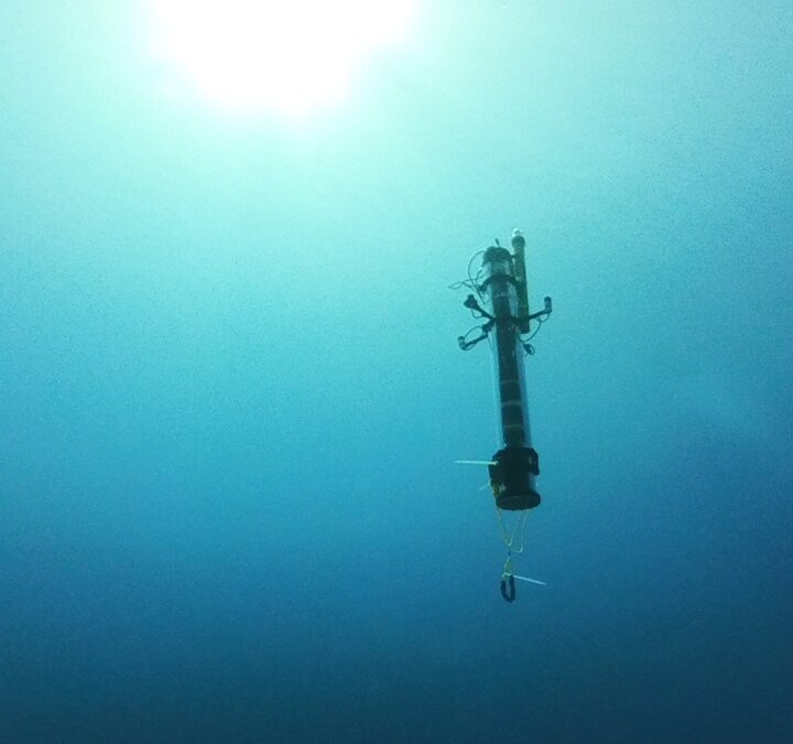 The underwater autonomous robot developed by Israeli researchers to aid sustainable fishing. Photo by Liav Nagar