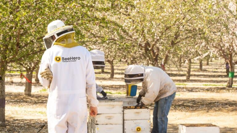 Sensors monitor honeybees so they can pollinate better