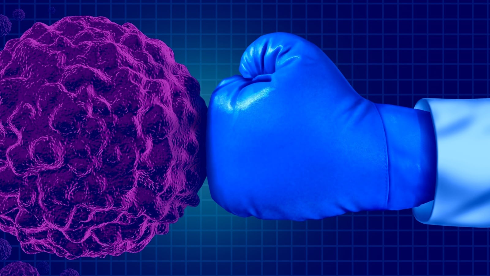 Empowering the immune system to knock out cancer. Image by Lightspring via Shutterstock.com