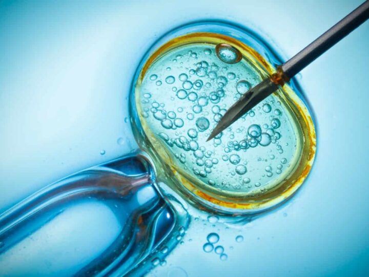In vitro fertilization photo by Nevodka via Shutterstock.com