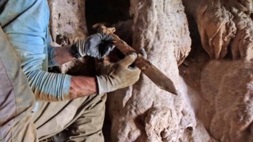 One of the 1,900-year-old Roman spatha swords which was hidden, likely by Jewish rebels, in a cave in the Judean desert. Photo by Dafna Gazit/IAA
