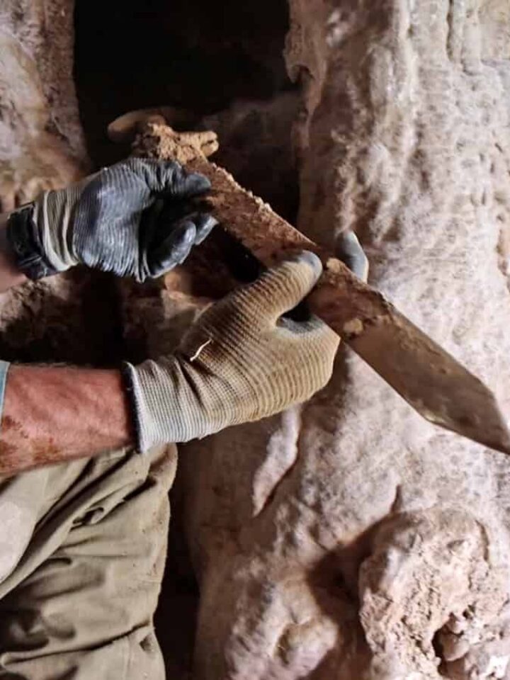 One of the 1,900-year-old Roman spatha swords which was hidden, likely by Jewish rebels, in a cave in the Judean desert. Photo by Dafna Gazit/IAA