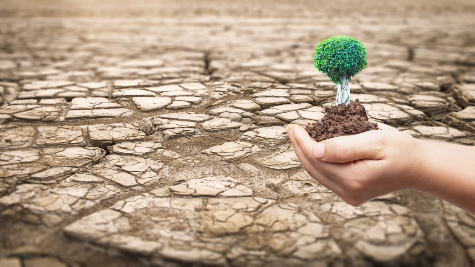 DeserTech is helping Africa fight desertification. Photo illustration by Paul Shuang via Shutterstock.com