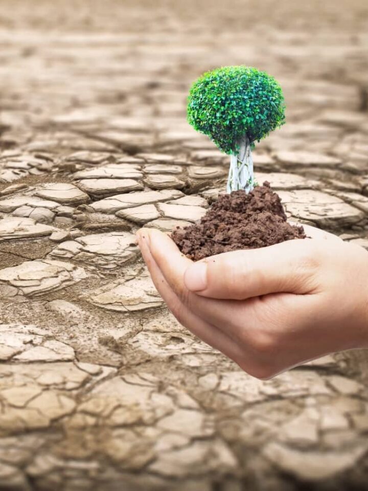 DeserTech is helping Africa fight desertification. Photo illustration by Paul Shuang via Shutterstock.com
