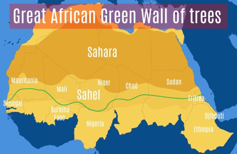 Helping Africa build a Great Green Wall across the desert