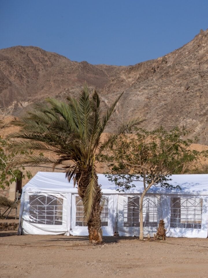 Tents for temporary school at Eilat Field School. Photo by John Jeffay