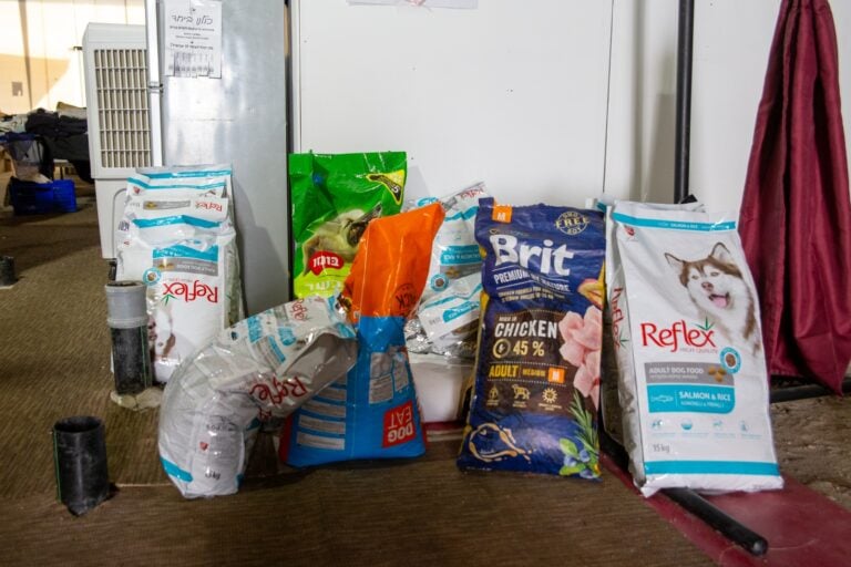 Cat food for pets of evacuees from Nir Oz at a hotel in Eilat. Photo by John Jeffay