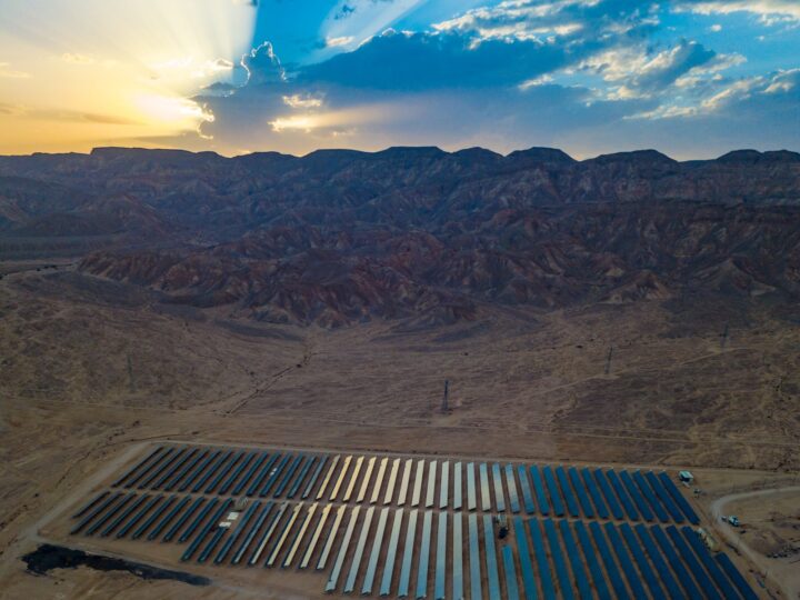 The solar farm in the Arava where the study was conducted. Photo by Jonathan D. Muller