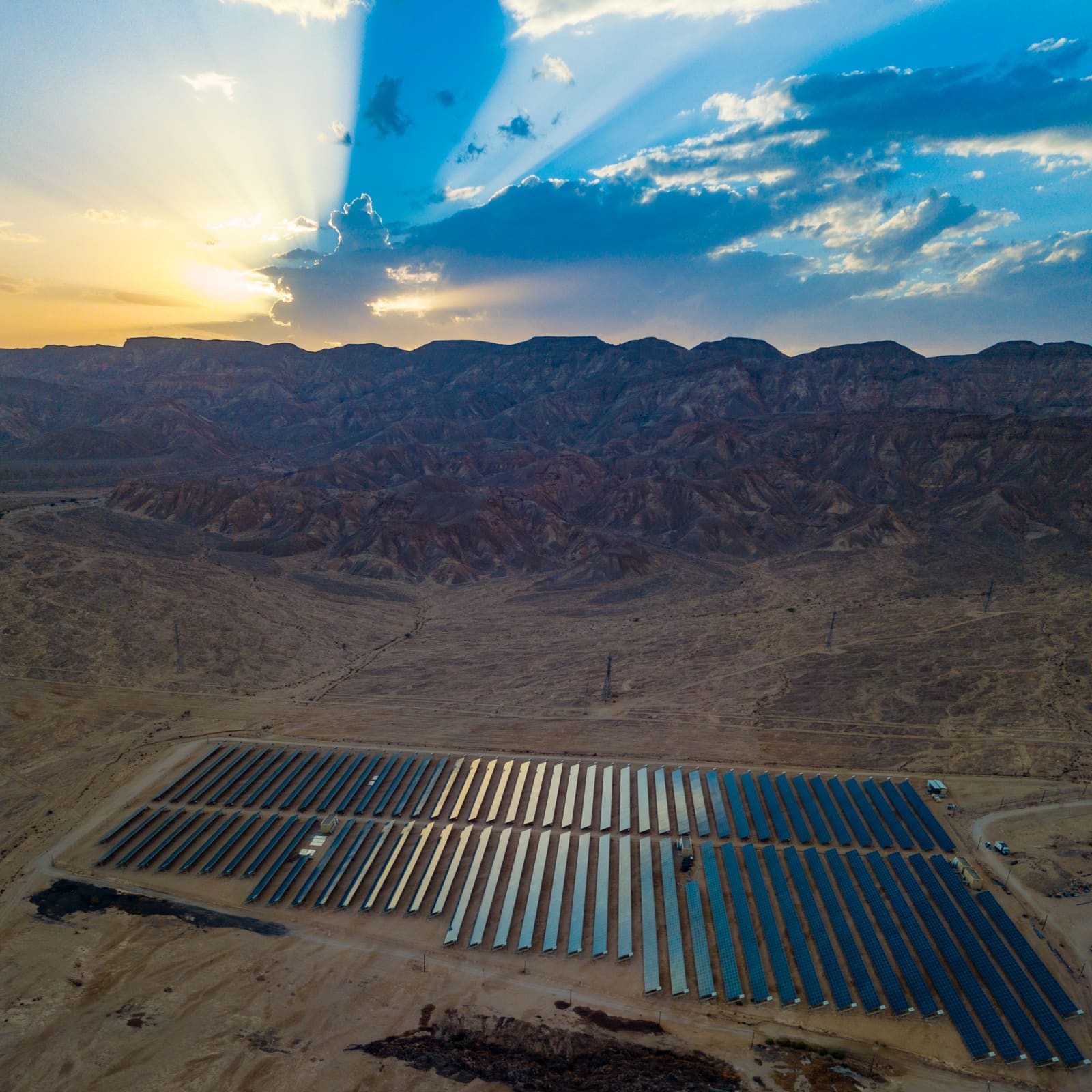 The solar farm in the Arava where the study was conducted. Photo by Jonathan D. Muller