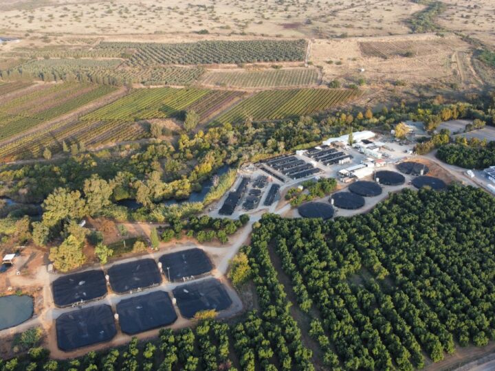 Overview of the fish ponds at Galilee Caviar. Photo courtesy of Karat Caviar