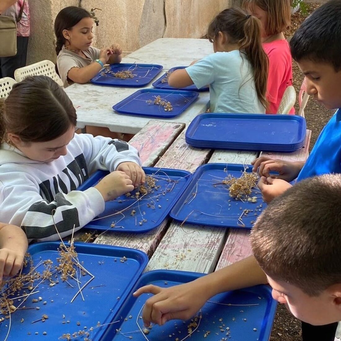 Kids participating in the Seeds of Hope project in the Golan Heights. Photo courtesy of KKL-JNF
