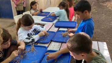 Kids participating in the Seeds of Hope project in the Golan Heights. Photo courtesy of KKL-JNF