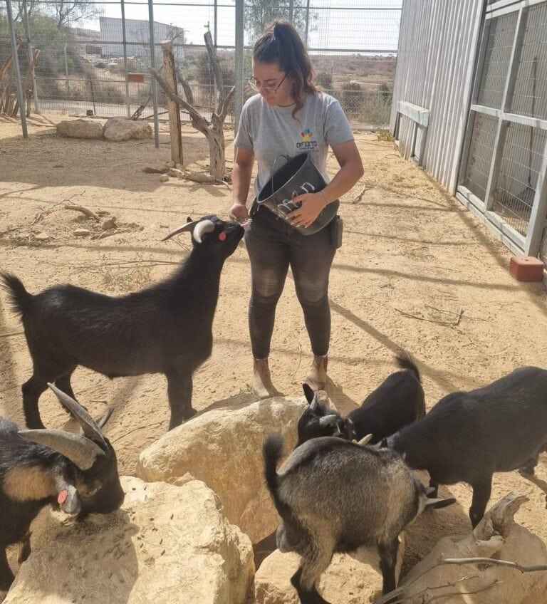 A Midbarium zookeeper caring for animals rescued from Gaza-area kibbutz petting zoos.