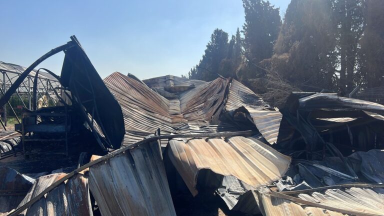 A burned packing house near Zikim. Photo by Dudu Michaeli