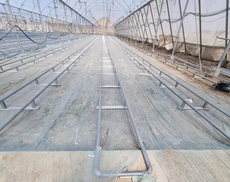 The Kibbutz Alumim greenhouse that was ready to start experimenting with robotic picking and packing. Photo courtesy of MetoMotion